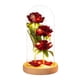 thumbnail image 2 of Rosa preservada Rosa eterna en para Acción de gracias Navidad Día de San Valentín Cumpleaños Día de Pétalo de color madera perfecl Rose in Dome, 2 of 6
