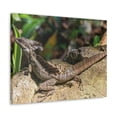 thumbnail image 2 of Basilisk Hunting Basilisk on Hunt Print Animal Wall Art Wildlife Canvas Prints Wall Art Ready to Hang Unframed, 2 of 18