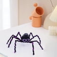 thumbnail image 5 of Halloween Decorations Indoor Cool Plush Black Spider with Mini Top Hat Purple Sunglasses Funny Bendable Novelty Tabletop Ornament Spooky Party Scene Decor, 5 of 6