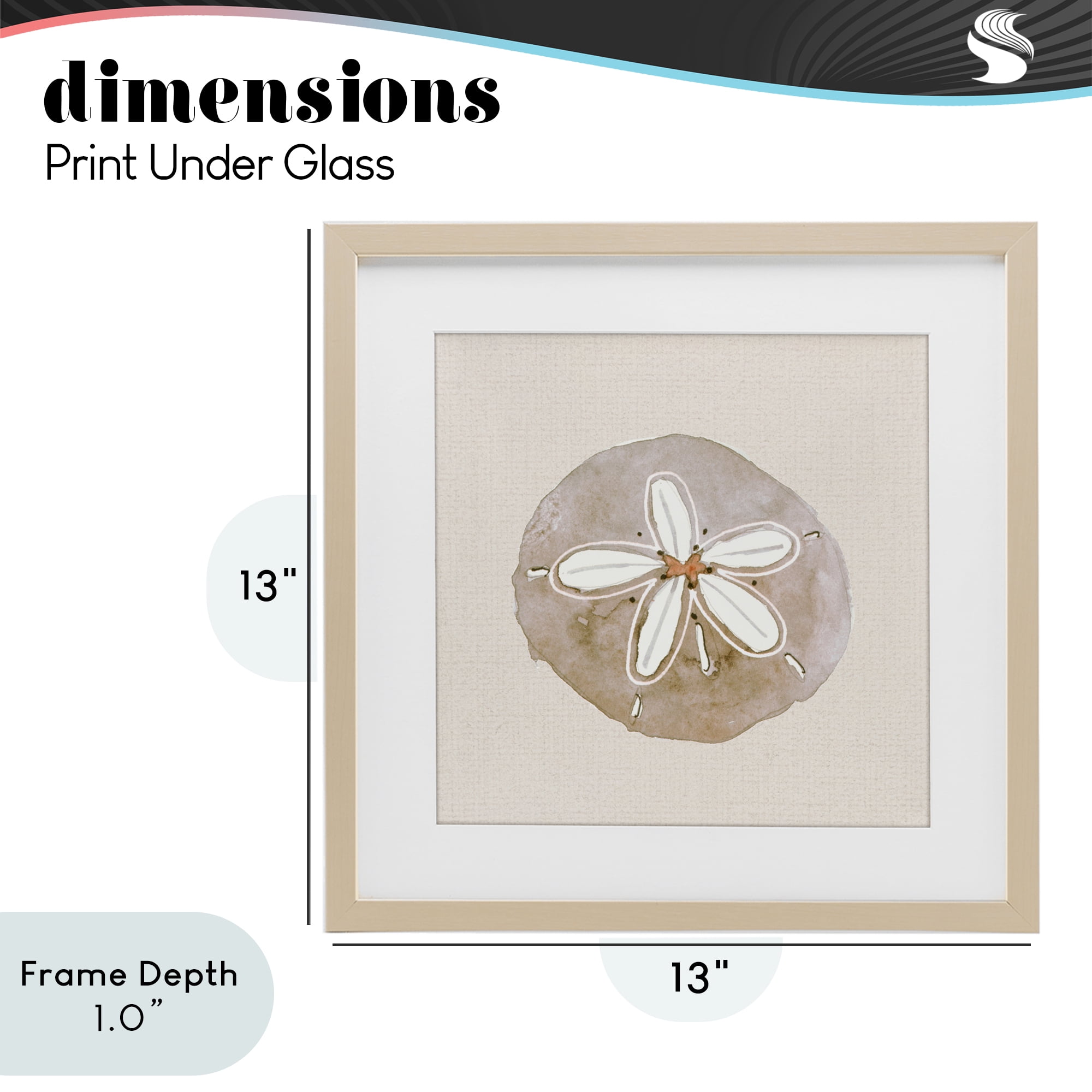 Stupell Industries Serene Beige Sand Dollar Birch Framed Print Under Glass, design by Lanie Loreth