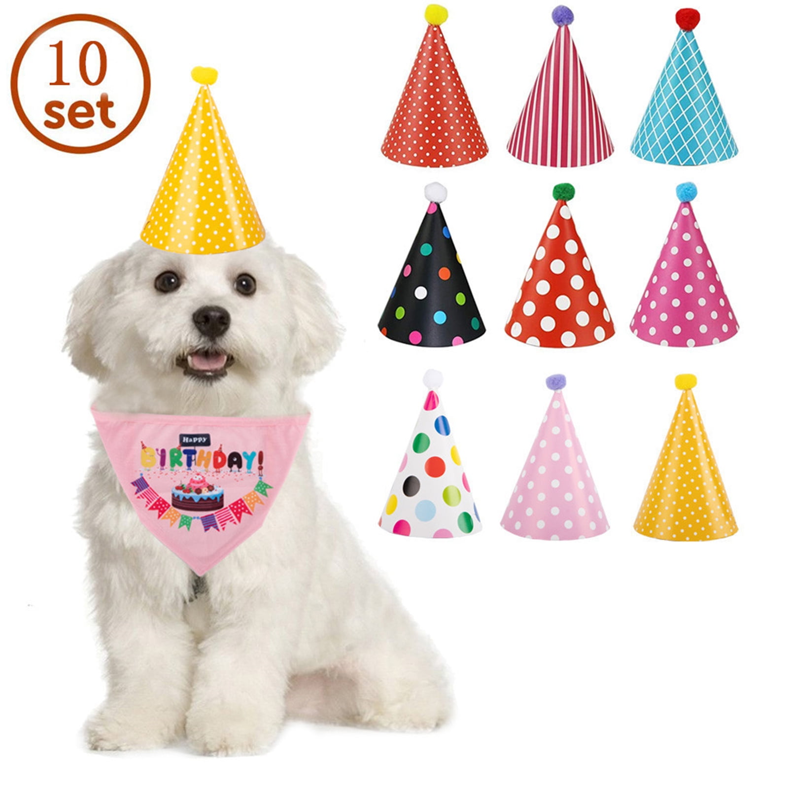 Dogs with top party hats
