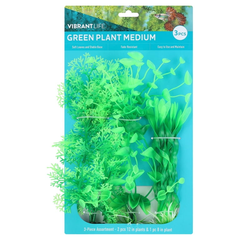Vibrant Life Medium Plant Set, Green, 3 Pieces photo 1