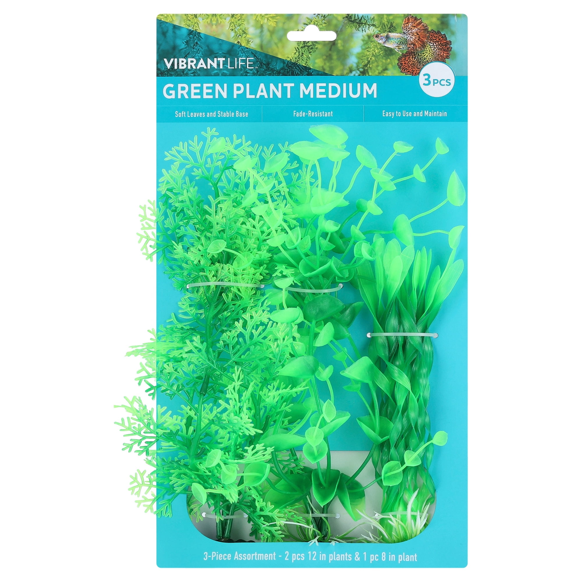 Vibrant Life Medium Plant Set Green 3 Pieces