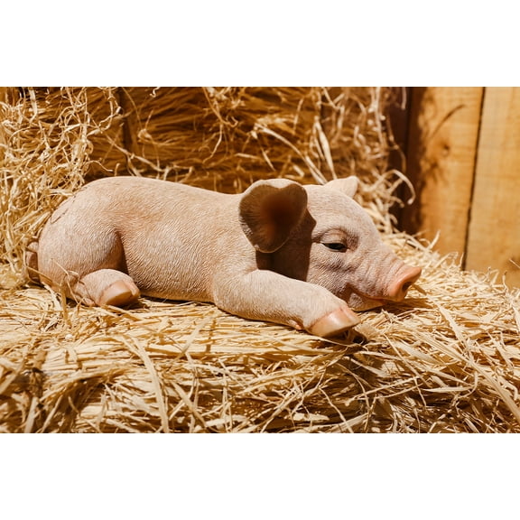 HI-LINE GIFT LTD. PIG SLEEPING