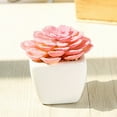 thumbnail image 6 of Ludlz Succulents Plants Artificial, Mini Artificial Succulents Desk Plant Faux Succulents in Pots Fake Succulents Plant Decor Plastic not Easy to Break, 6 of 8