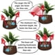 thumbnail image 3 of Globos de riego automático Famstar para plantas, paquete de 6 unidades, 3 of 7