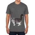 thumbnail image 1 of American Curl Cat Mens Soft T Shirt, 1 of 1