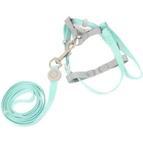 Soimiss Small Pet Harness Cat Leash and Harness Polyester Green Pet Owners Outdoor Walking 1 Set