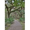 thumbnail image 2 of Looney, Hollice 17x24 Black Ornate Wood Framed with Double Matting Museum Art Print Titled - USA-Florida-Sarasota-Myakka River State Park, 2 of 4