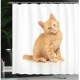 thumbnail image 3 of Ambesonne Cats Funny Shower Curtain, Sitting Red Kitten Print, 69"Wx70"L, Pale Orange Sand Brown, 3 of 4
