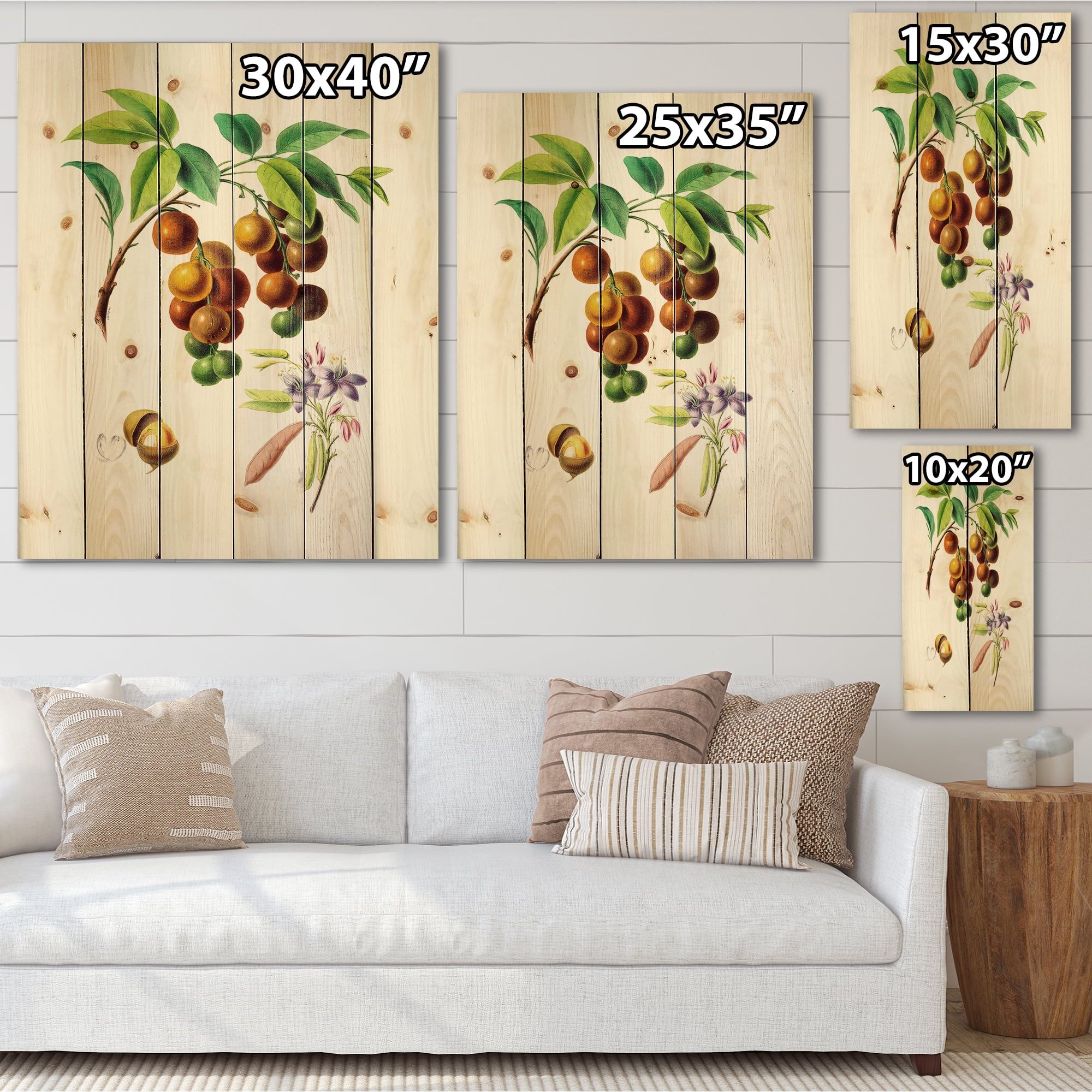 Designart 'Ancient Fruits III' Farmhouse Print on Natural Pine Wood