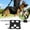 A, variant on Support Slings for Dogs Rehabilitation and Mobility for Senior and Disabled Indoor Outdoor Use Durable TPR Polyester Construction Comfortable Lift Assistance