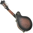 thumbnail image 6 of Gold Tone F-6 F-Style Acoustic-Electric Mando-Guitar Vintage Sunburst, 6 of 6