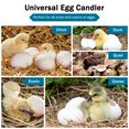 thumbnail image 4 of Incu-Bright™ Ultra Bright LED Light Egg Candler, 4 of 9