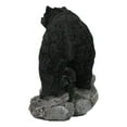 thumbnail image 3 of Rustic Wildlife Forest Black Bear Walking On River Rock Steppes Figurine, 3 of 9