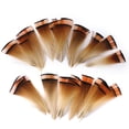 thumbnail image 1 of 10/20 piezas de plumas de para manualidades, , sombrero, decoración artesanal, 10-12cm, 1 of 7