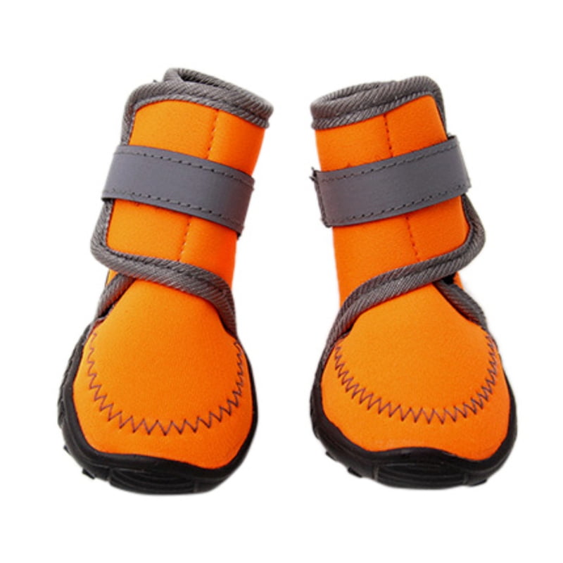 dog winter boots