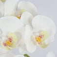 thumbnail image 3 of Tallos de orquídeas Flores artificiales Real Touch Látex Faux Phalaenopsis Ramas 9 Flores grandes 38 pulgadas brillar Juguete, 3 of 6