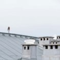thumbnail image 5 of Capuchon de Cheminée Extérieur Imperméable pour Évent de Toit Capuchon de Cheminée Résistant aux Intempéries Protecteur de Cheminée, 5 of 5