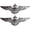 silver, variant on vlrwzc Vintage USAF Wings Military Pilot Metal Eagle Badge Classic Uniform Shirt Lapel Pin for Backpack Clothes Decoration