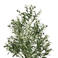 thumbnail image 4 of SAFAVIEH Faux Olive 60" Potted Tree, Green, 4 of 6