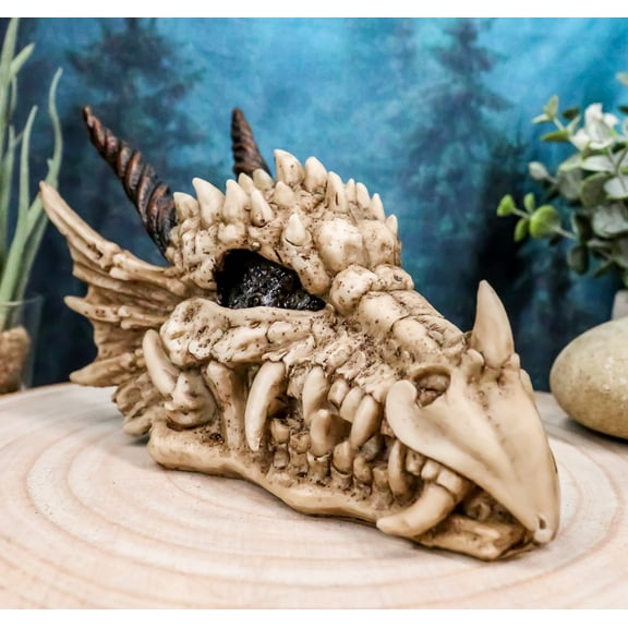 Ebros Jurassic Beowulf Elder Dragon Head Skull Realistic Fossil Statue 7.75" L