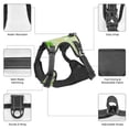thumbnail image 6 of Gaeub St Patrick's Day11 Gaeub St Patrick's Day11 No Pull Dog Harness, Secure and Adjustable Pet Vest for Outdoor Activities - Small, 6 of 8