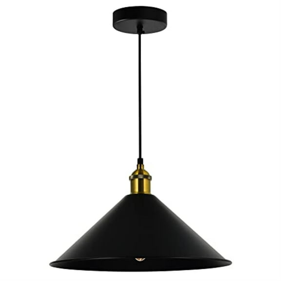 CWI Lighting Brave 1 Light Metal Indoor Mini Pendant in Black