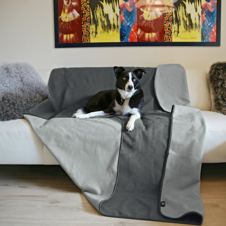 Dog Proof Sofa Throws Baci Living Room