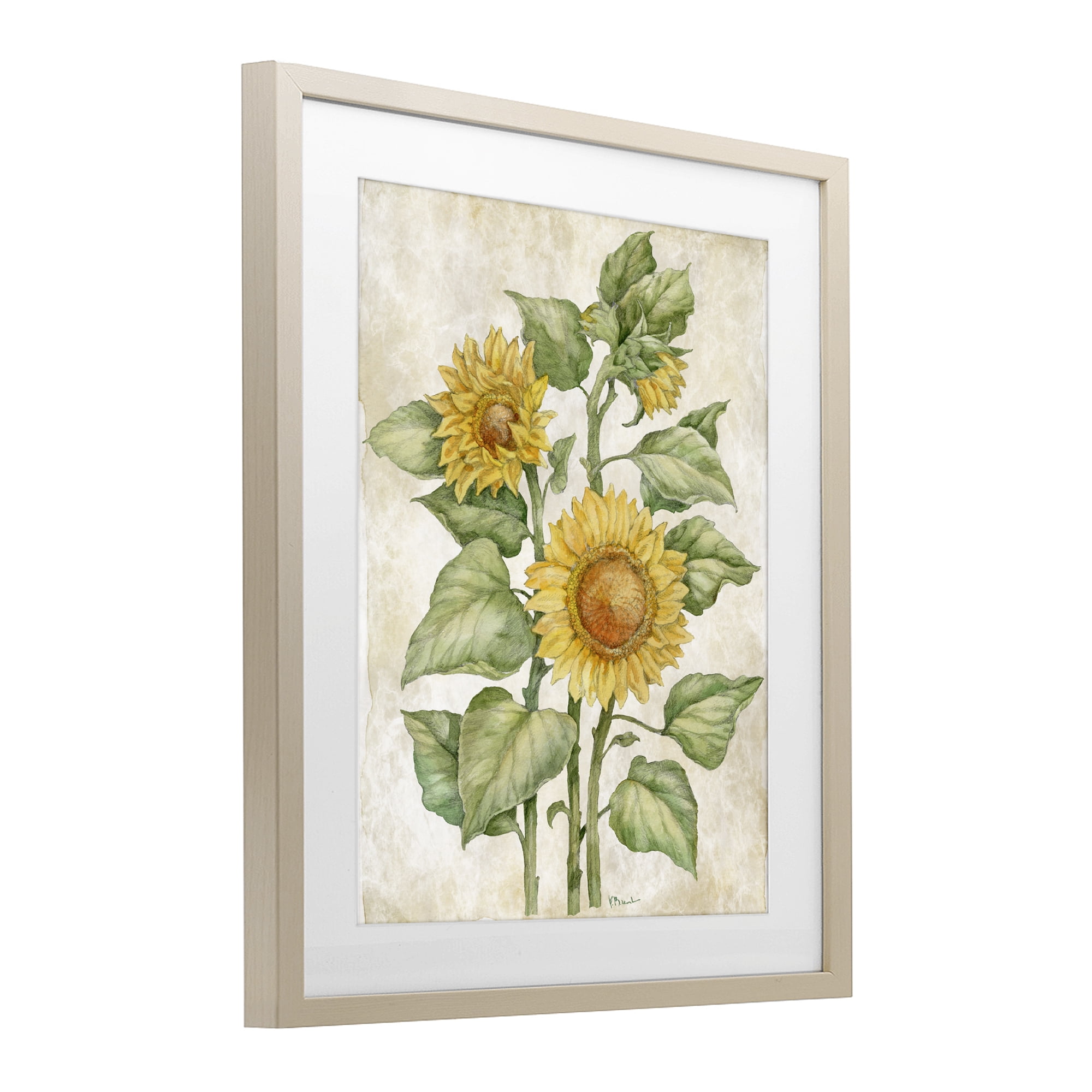 Stupell Industries Floral Journal Sunflower Birch Framed Print Under Glass, design by Paul Brent