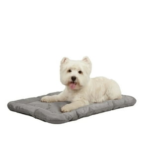 Chew Proof Dog Bed