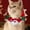 E, variant on Kumdkd Handwoven Wool Christmas Pet Scarf – Festive Holiday Neckwear for Dogs & Cats (9.8" Adjustable Collar, Multicolor)