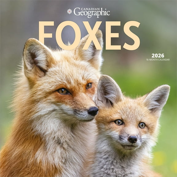 Canadian Geographic Foxes | 2026 12x24" (Hanging) Square Wall Calendar
