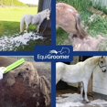 thumbnail image 4 of EquiGroomer Cepillo de cedro para caballos | Herramienta de deshedding para mascotas grandes con pelo corto y largo | El peine elimina la suciedad suelta, el pelo y el pelo | Cepillo profesional para, 4 of 8