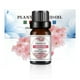 thumbnail image 2 of Aromatherapy Water-soluble Oil Aromatherapy Suitable For Humidifier 10ml, 2 of 3