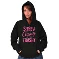 thumbnail image 5 of Sassy Classy Never Trashy Sarcastic Hoodie Sweatshirt Women Brisco Brands X, 5 of 6