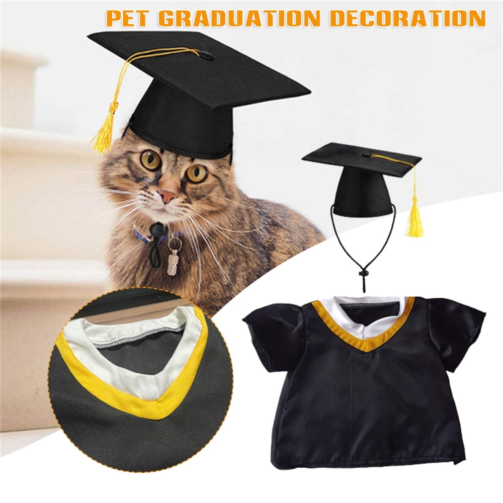 dog graduation outfit