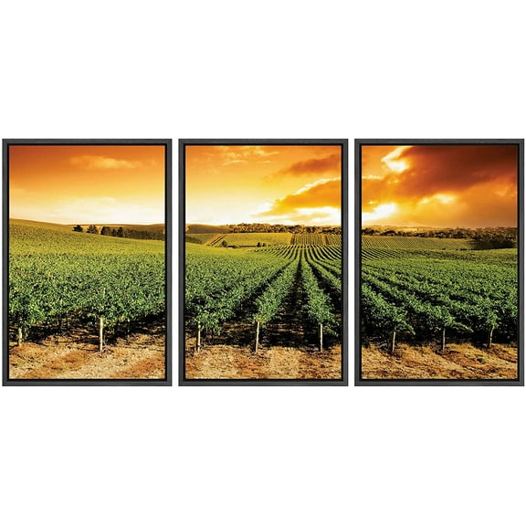 wall26 3 Piece Framed Canvas Print - Contemporary Art, Modern Wall Art - Gorgeous Sunset Over Vineyard - Giclee Artwork - Gallery Wrapped Wood Stretcher Bars - Ready to Hang - 16"x24"x3 BLA
