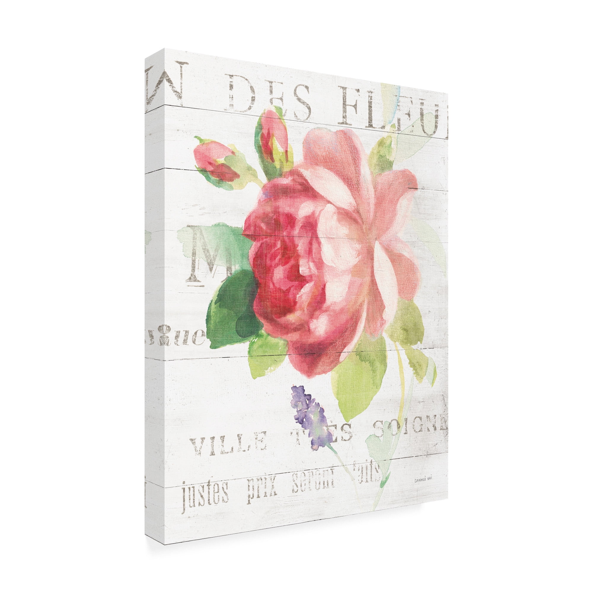 Trademark Fine Art 'Maison des Fleurs VIII' Canvas Art by Danhui Nai