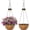 Bronze, variant on 2 Packs Solar Hanging Basket Planters for Plants Outdoor, Self Watering Black Flower Plants Pots with Solar Light Drainer for Balcony Patio Garden Outdoor Decoration