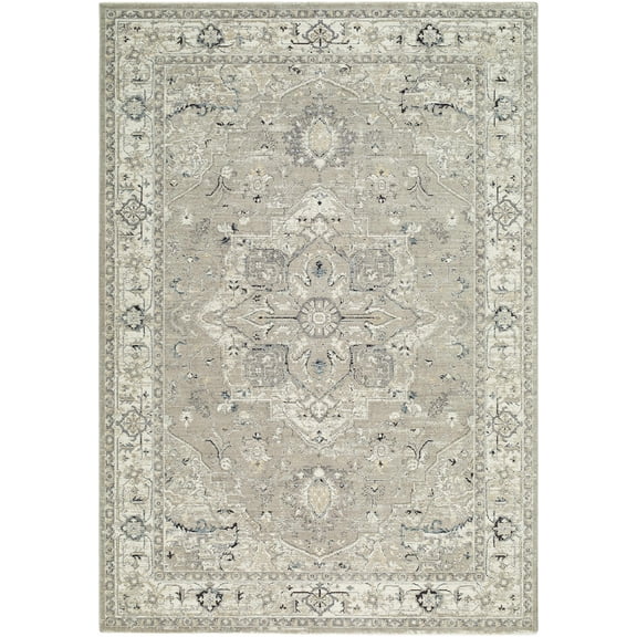 BoutiqueRugs Ayzize Traditional Area Rug - Beige, Ivory, Charcoal - 10' x 13'11"