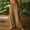 Khaki wide leg palazzo pants for women a1, variant on Cagogo Wide Leg Plus Size Pants for Women Flowy Elastic Waist Boho Lounge Long Trousers Solid Casual Beach Party Palazzo Wear Summer, Green S
