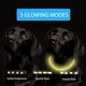 thumbnail image 2 of Collar de perro intermitente con luz recargable por USB, longitud ajustable, collar intermitente impermeable cortable para perros, 3 modos, para perros pequeños, medianos y grandes (, 2 of 5