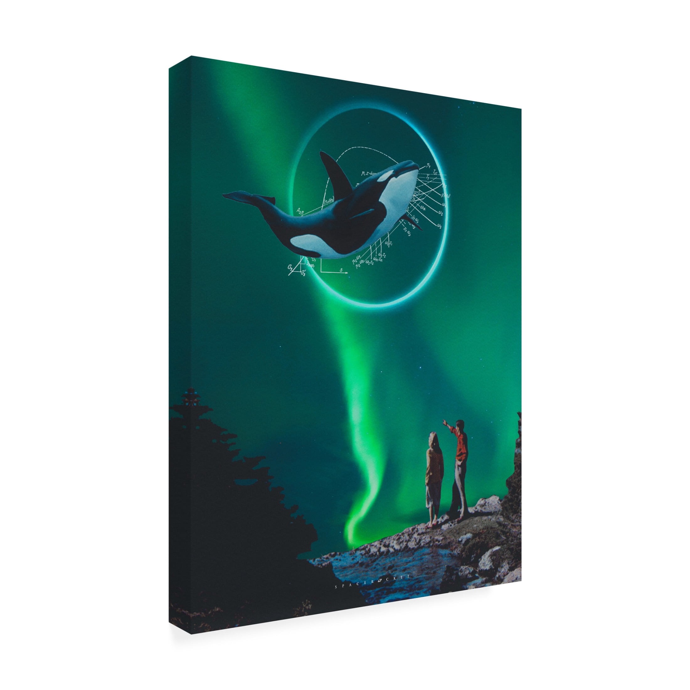 Trademark Fine Art spacerocket art  187 Canvas Wall Art