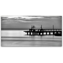 Trademark Fine Art "Pier Silhouette" Canvas Art by David Ayash