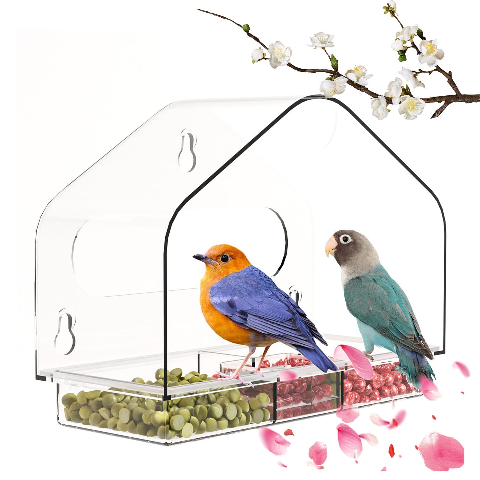 Mangeoire à Oiseaux Fenêtre Trsnzul En Acrylique Transparent Avec Ventouses - Plateau Amovible Pour Observation Et Alimentation Facile