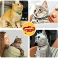 thumbnail image 7 of Reflective Cat Collar Breakaway with Bells, 2 Pack Girl Boy Pet Cat Collar Adjustable, 7 of 7