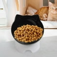 thumbnail image 6 of 15 degree Tilted Elevated Cat Bowls Feeding Station with Stand Non Slip Raised Dish Water Food Bowls for Indoor Cats, Small Medium Large Dog, Kitty Bowl Black, 6 of 7