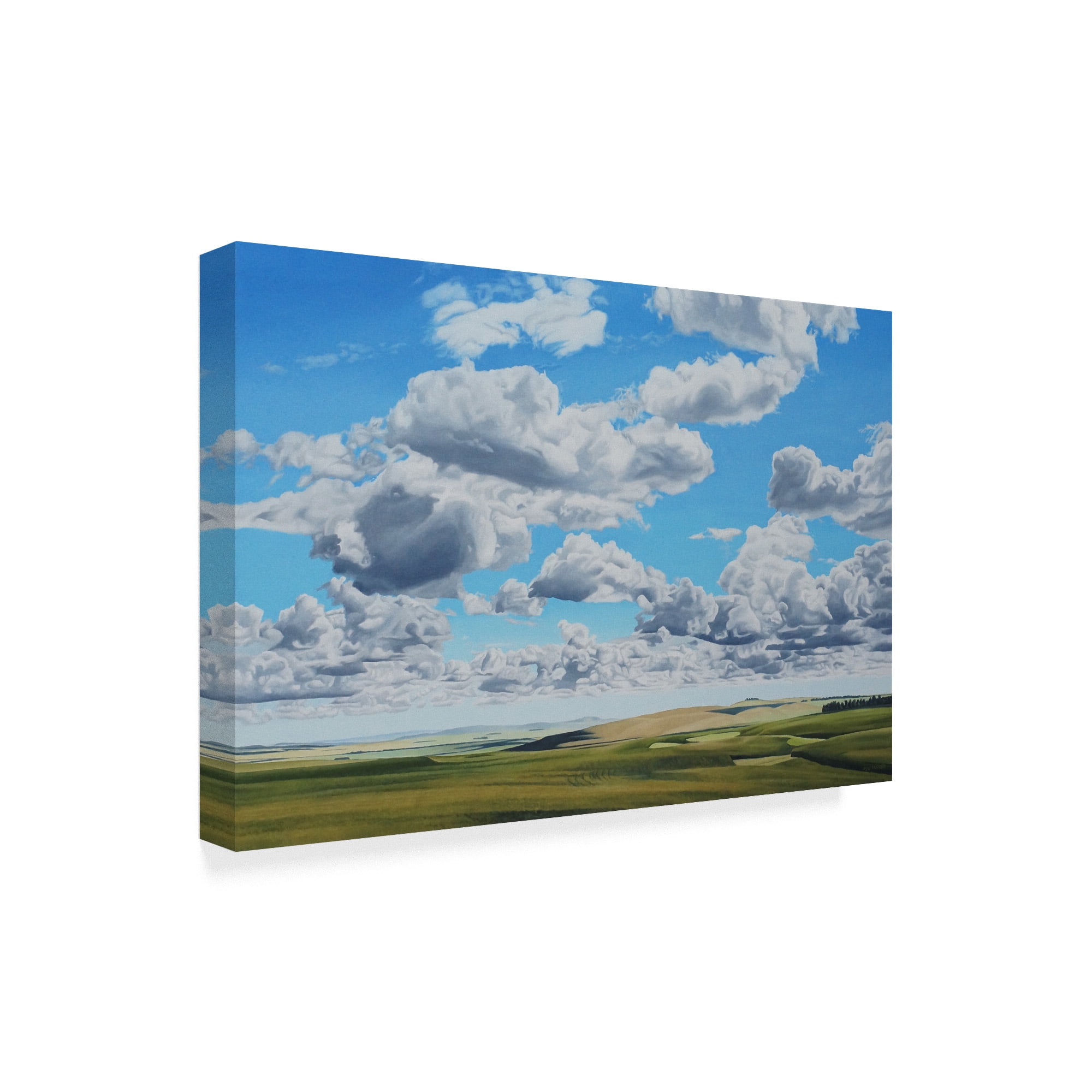 Trademark Fine Art 'Prairie Clouds' Canvas Art by Ron Parker