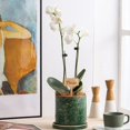 thumbnail image 4 of Bamboo Sticks For Garden Plants 50 Pcs, 4 of 5